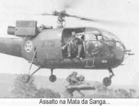 Португальские десантники с винтовками Armalite AR-10