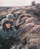 Аргентинские солдаты с винтовками FN FAL во время война на Фольклендах